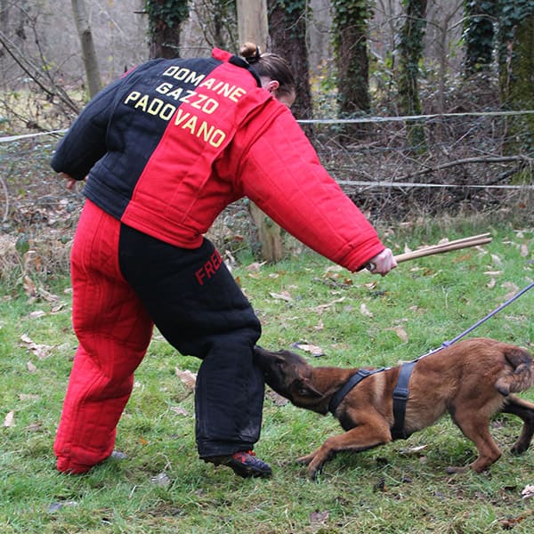 Domaine de Gazzo Padovano : formation chiens de patrouille à Sury-aux-Bois près d'Orléans & Montargis (45) 